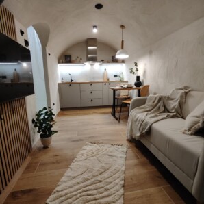 Revonia underground eco-house open plan living room and kitchen – arched vault ceiling interior design